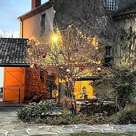 Hotel La Cour Carree Besse-et-Saint-Anastaise